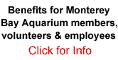 Benefits for Monterey Bay Aquarium members