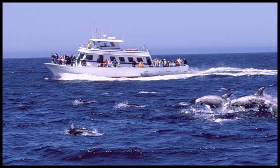 Sea Wolf II, Slide No. ps003123-16