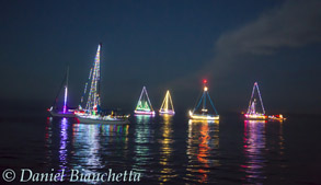 Festival of the Lights, photo by Daniel Bianchetta