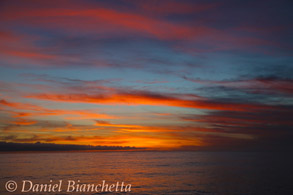 Returning to port at sunset, photo by Daniel Bianchetta