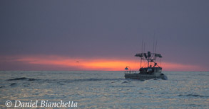 Fishing boat heading into the sunset, photo by Daniel Bianchetta