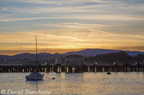 Monterey Harbor at sunrise, photo by Daniel Bianchetta