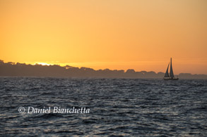 Sailboat at sunset, photo by Daniel Bianchetta