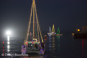Festival of Lights, photo by Daniel Bianchetta