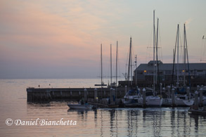 Peaceful harbor in early morning, photo by Daniel Bianchetta