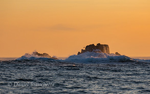 Sunset on the water, photo by Daniel Bianchetta