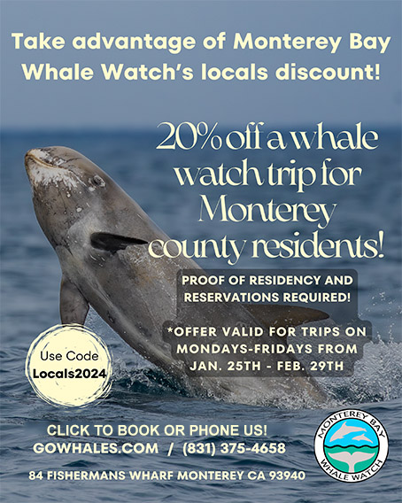 Special Locals Discount for Whale Watch Trips