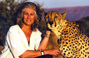 Dr. Laurie Marker of the Cheetah Conservation Fund