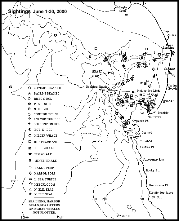 Marine Mammal Sightings Map (20K)