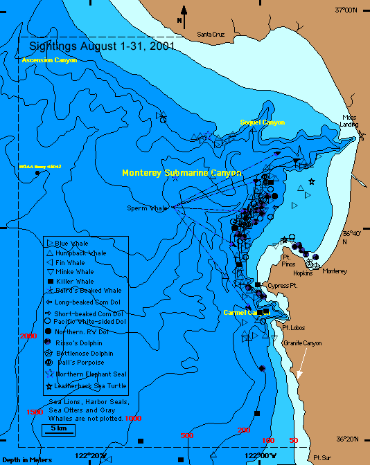 Marine Mammal Sightings Map (20K)