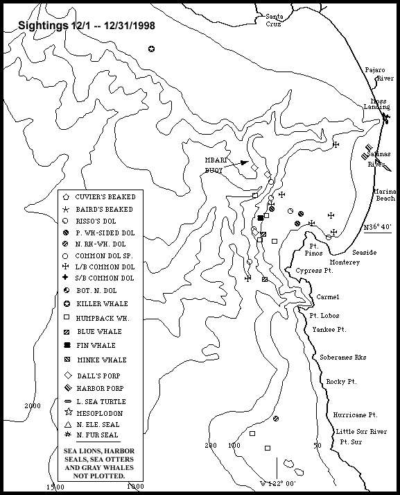 Marine Mammal Sightings Map (21K)