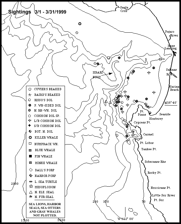 Marine Mammal Sightings Map (19K)