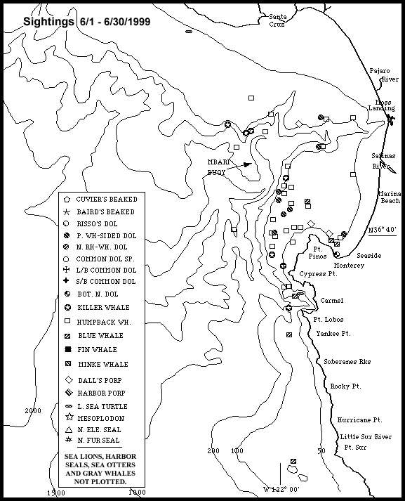 Monterey Bay Whale Watch Marine Mammal Sightings Map 6/1-6/30/99