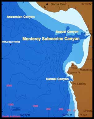 Monterey Bay Whale Watch - Map of Monterey Bay