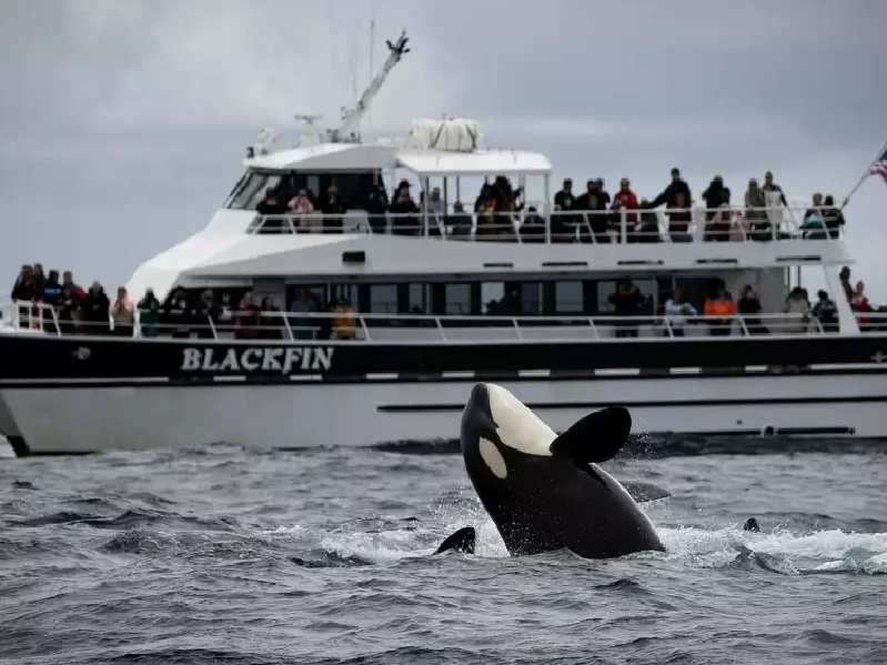 a group of people in a boat on a body of water