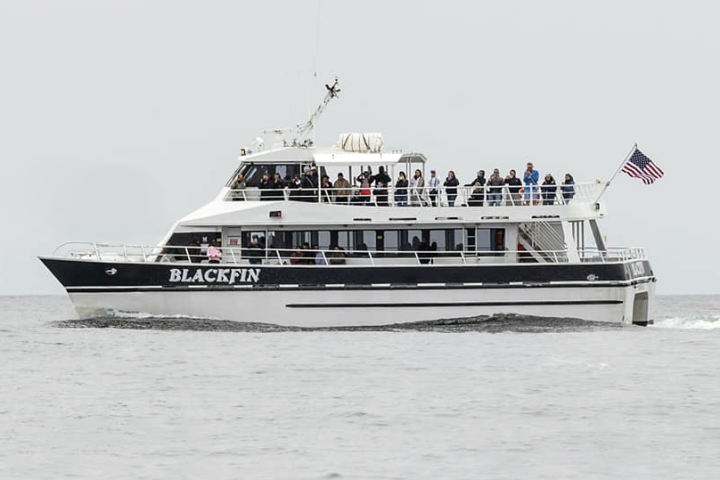 a large ship in a body of water