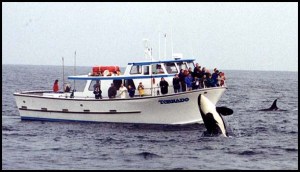 a group of people on a boat in a body of water