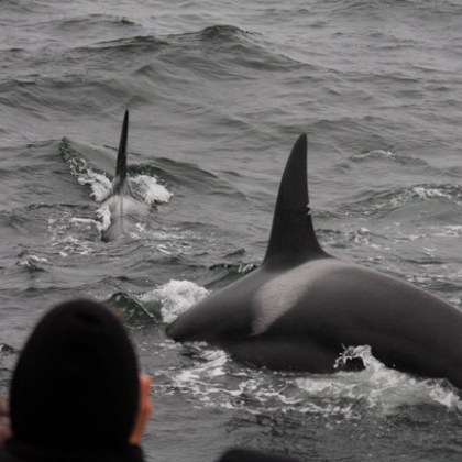a person standing next to a body of water