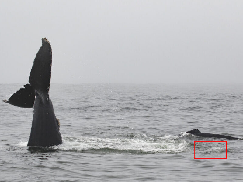 a man standing next to a body of water