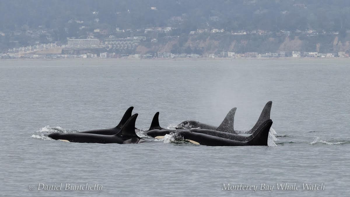 a boat on a body of water