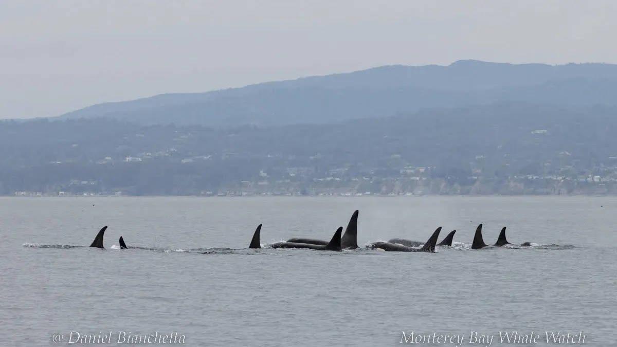 a group of people in a body of water