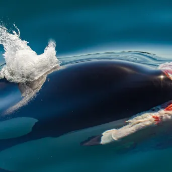 a close up of blue water