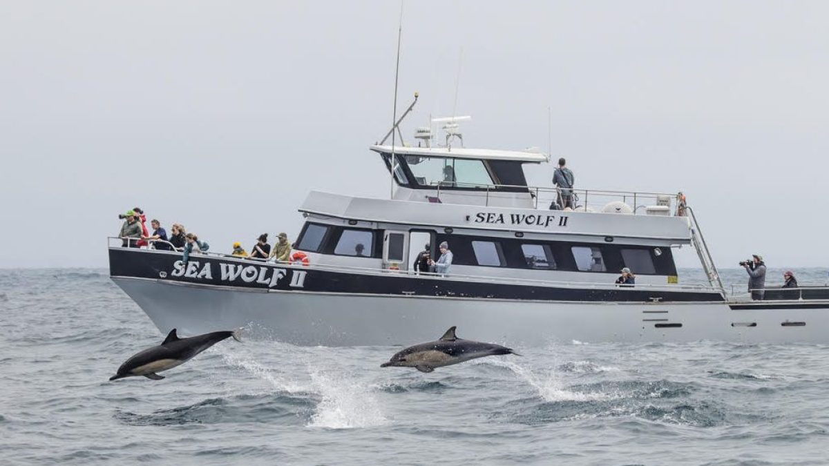 a small boat in a large body of water