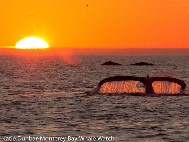 a sunset over a body of water