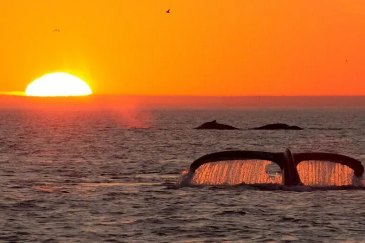 a sunset over a body of water