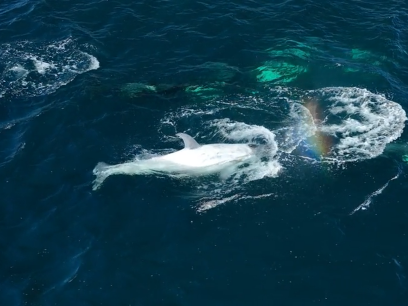 a man riding a wave on top of a body of water