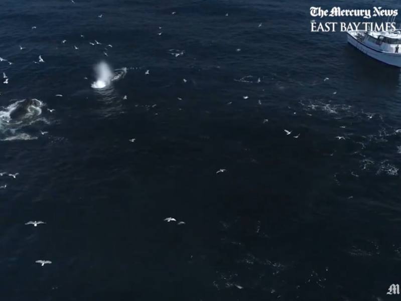 a small boat in a body of water