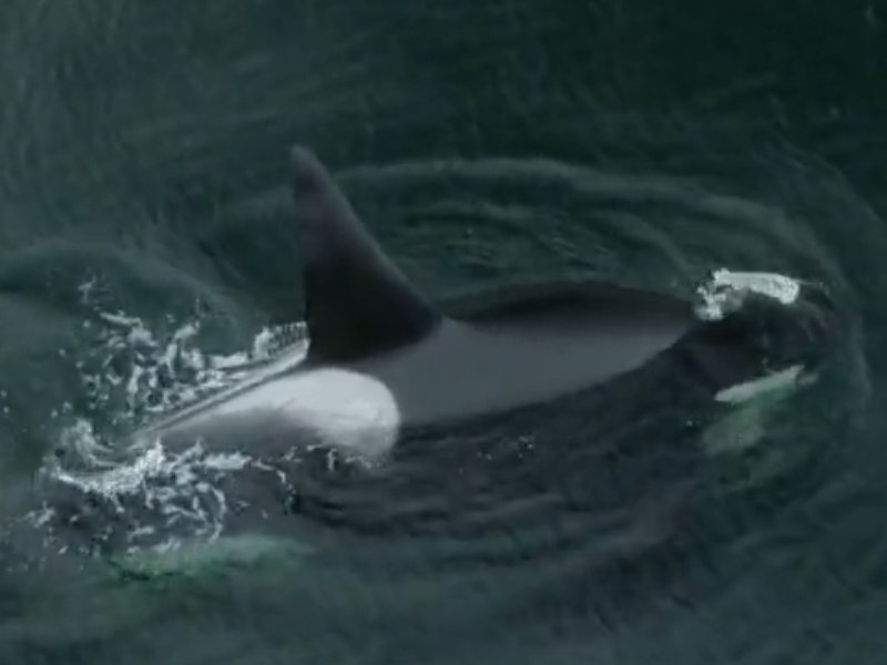 a person riding a wave on a surfboard in the water