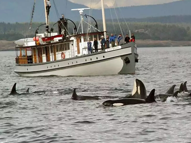 a small boat in a body of water