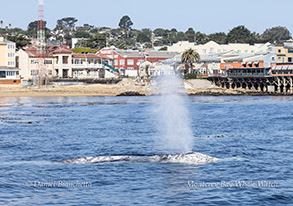 a small boat in a body of water