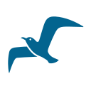 a close up of a logo