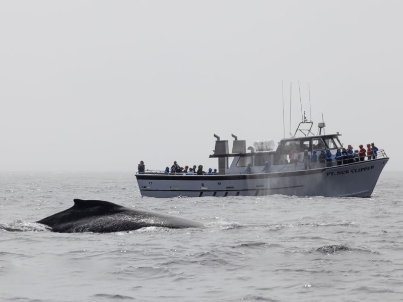 a small boat in a body of water