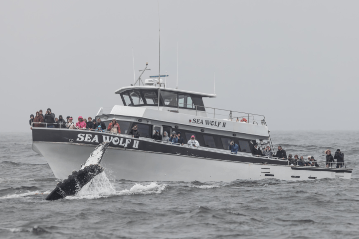 a large ship in a body of water