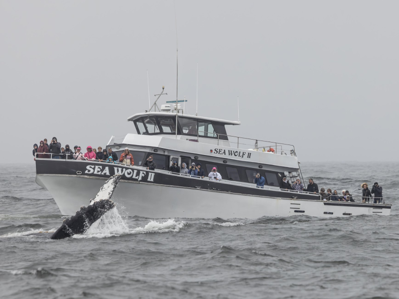 a large ship in a body of water