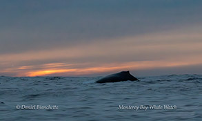 a sunset over a body of water