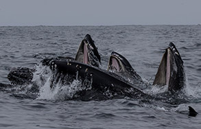 a small boat in a body of water