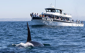 a large ship in a body of water