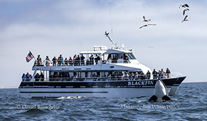 a large ship in a body of water