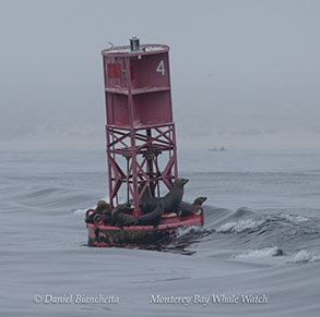 a small boat in a body of water