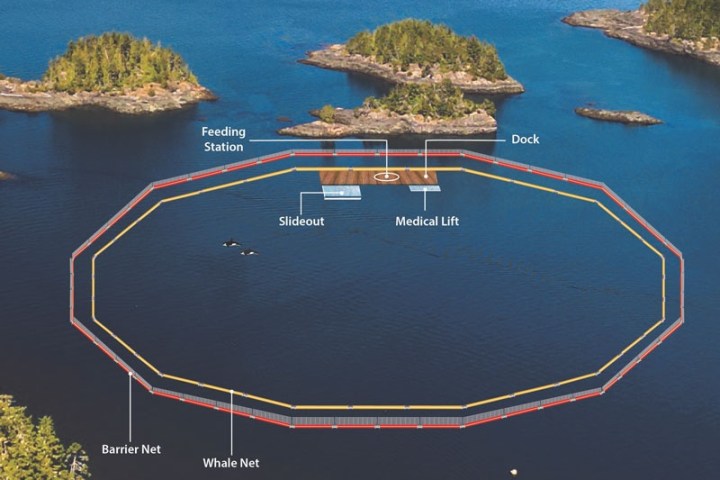 Labeled diagram of a marine sanctuary with nets, dock, and feeding station in a scenic coastal area.