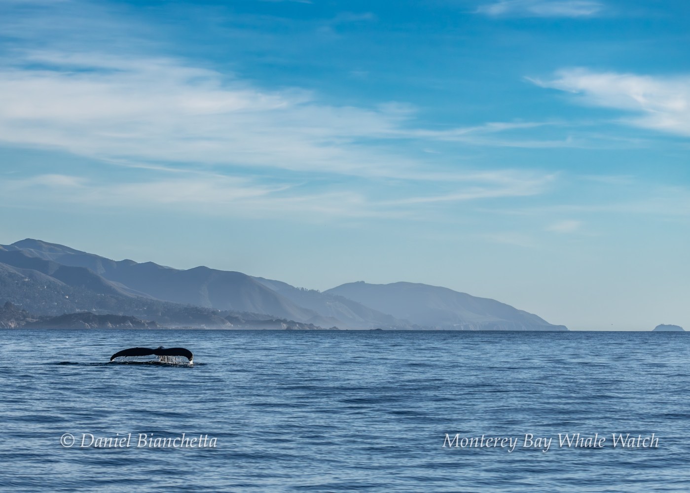 Whale tail above water with mountains and blue sky in the background.