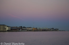 Aquarium on 7 a.m. trip, photo by Daniel Bianchetta