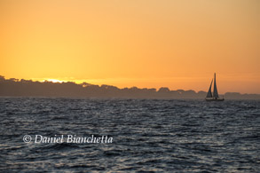 Sailboat at sunset, photo by Daniel Bianchetta